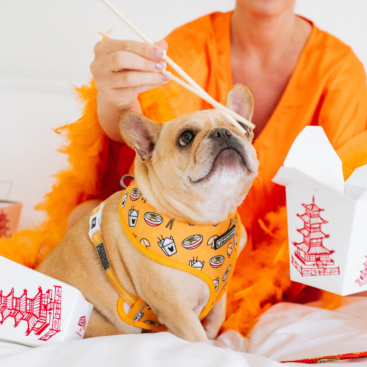 Frenchie Duo Reversible Harness - Frenchie Takeout from Frenchie Bulldog