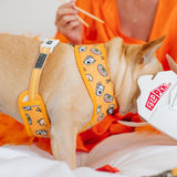 Frenchie Duo Reversible Harness - Frenchie Takeout from Frenchie Bulldog