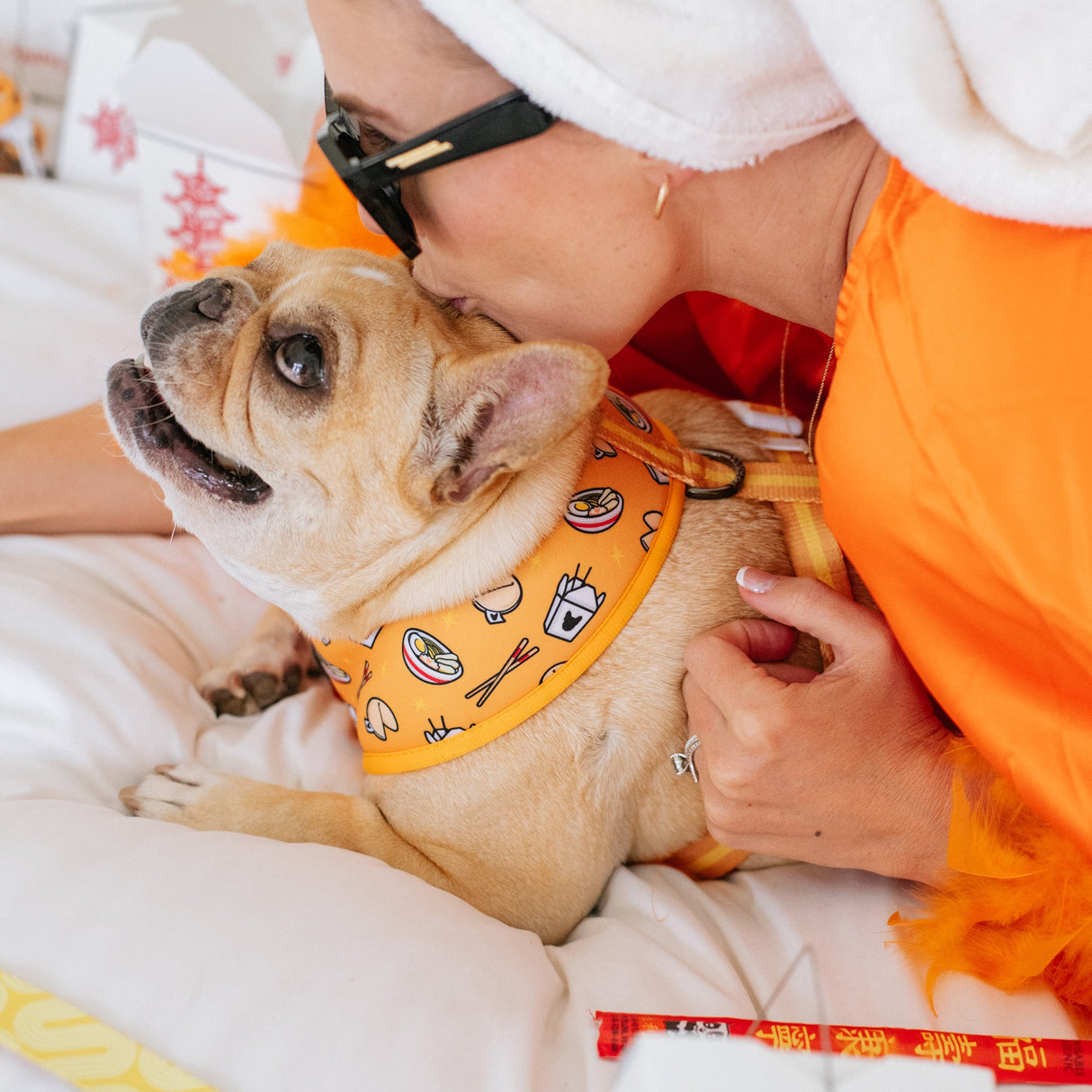 Frenchie Duo Reversible Harness - Frenchie Takeout from Frenchie Bulldog