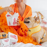 Frenchie Duo Reversible Harness - Frenchie Takeout from Frenchie Bulldog