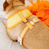 Frenchie Duo Reversible Harness - Frenchie Takeout from Frenchie Bulldog