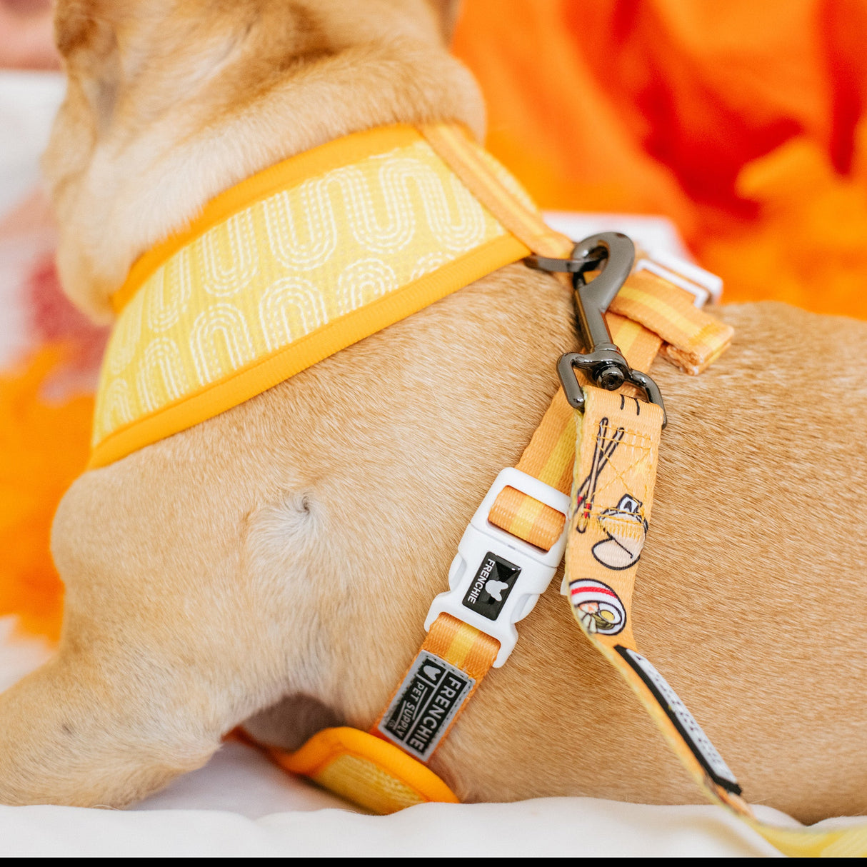 Frenchie Duo Reversible Harness - Frenchie Takeout from Frenchie Bulldog