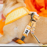 Frenchie Duo Reversible Harness - Frenchie Takeout from Frenchie Bulldog