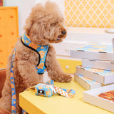 Frenchie Duo Reversible Harness - Galaxy Pizza from Frenchie Bulldog