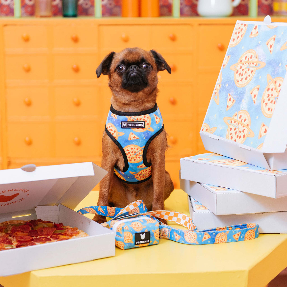 Frenchie Duo Reversible Harness - Galaxy Pizza from Frenchie Bulldog