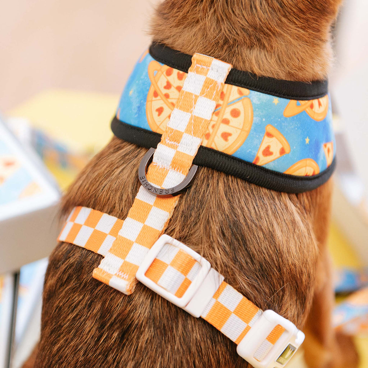 Frenchie Duo Reversible Harness - Galaxy Pizza from Frenchie Bulldog