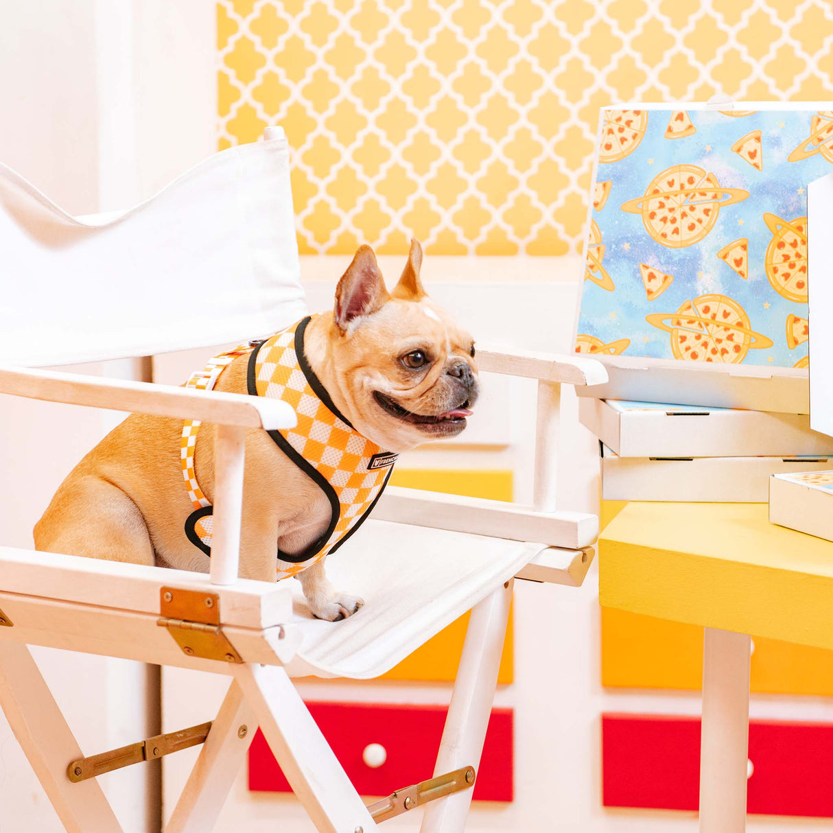 Frenchie Duo Reversible Harness - Galaxy Pizza from Frenchie Bulldog