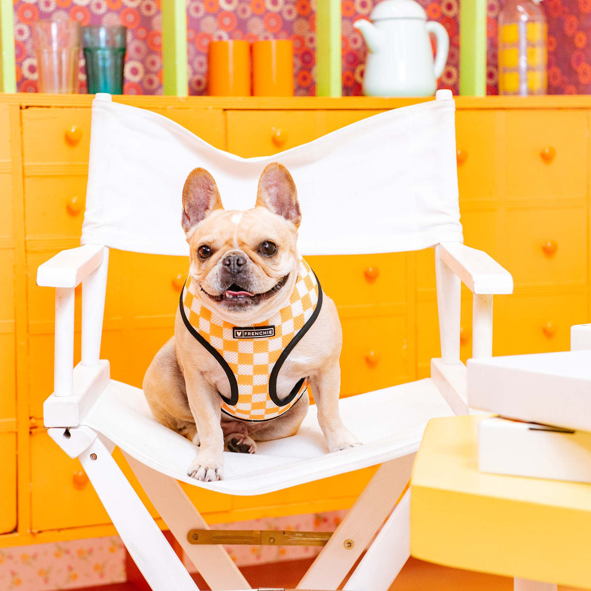 Frenchie Duo Reversible Harness - Galaxy Pizza from Frenchie Bulldog