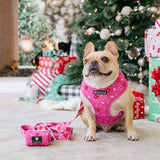 Frenchie Poo Bag Holder - Hot Cocoa (Pink) from Frenchie Bulldog