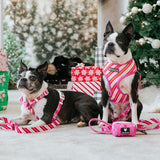 Frenchie Poo Bag Holder - Hot Cocoa (Pink) from Frenchie Bulldog