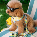 Frenchie Duo Reversible Harness - Lemon Tree from Frenchie Bulldog