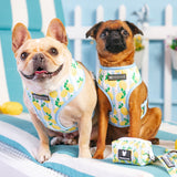 Frenchie Duo Reversible Harness - Lemon Tree from Frenchie Bulldog