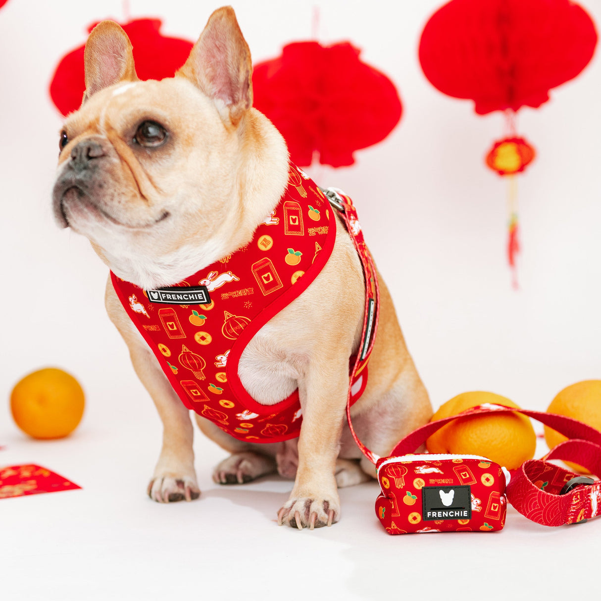 Frenchie Poo Bag Holder - Year of the Rabbit from Frenchie Bulldog