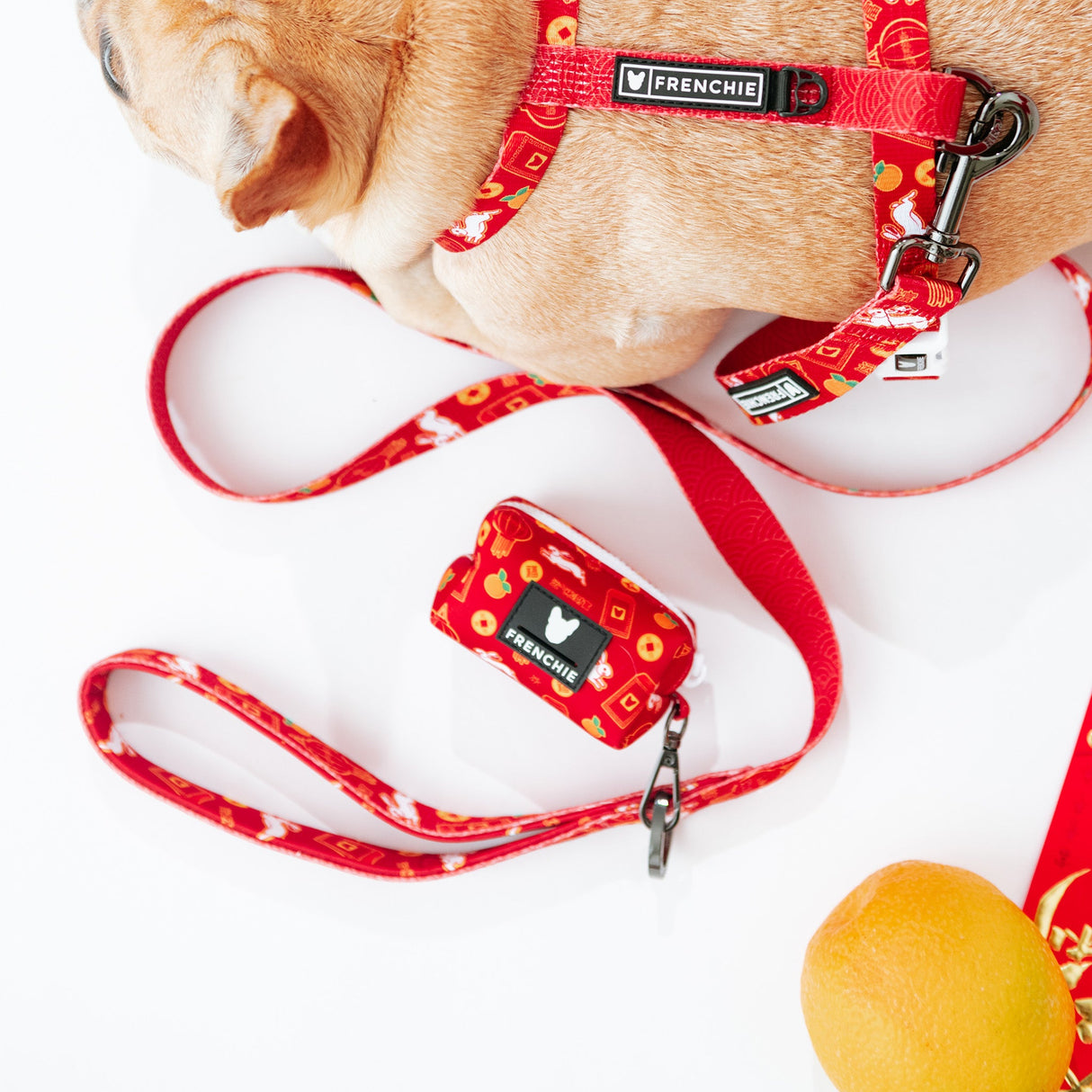 Frenchie Poo Bag Holder - Year of the Rabbit from Frenchie Bulldog