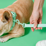 Frenchie Waterproof Leash - Mint Green from Frenchie Bulldog
