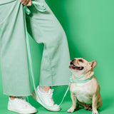 Frenchie Waterproof Leash - Mint Green from Frenchie Bulldog