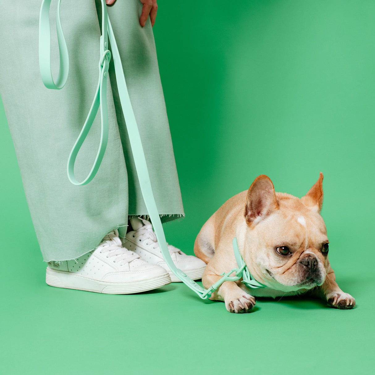 Frenchie Waterproof Leash - Mint Green from Frenchie Bulldog