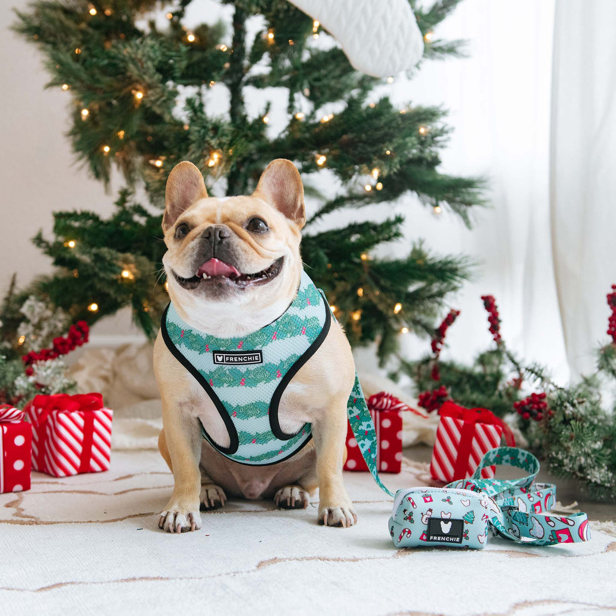 Frenchie Poo Bag Holder - Mistletoe from Frenchie Bulldog