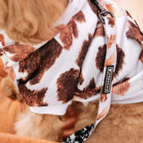 Frenchie Dog Hoodie - Moo from Frenchie Bulldog