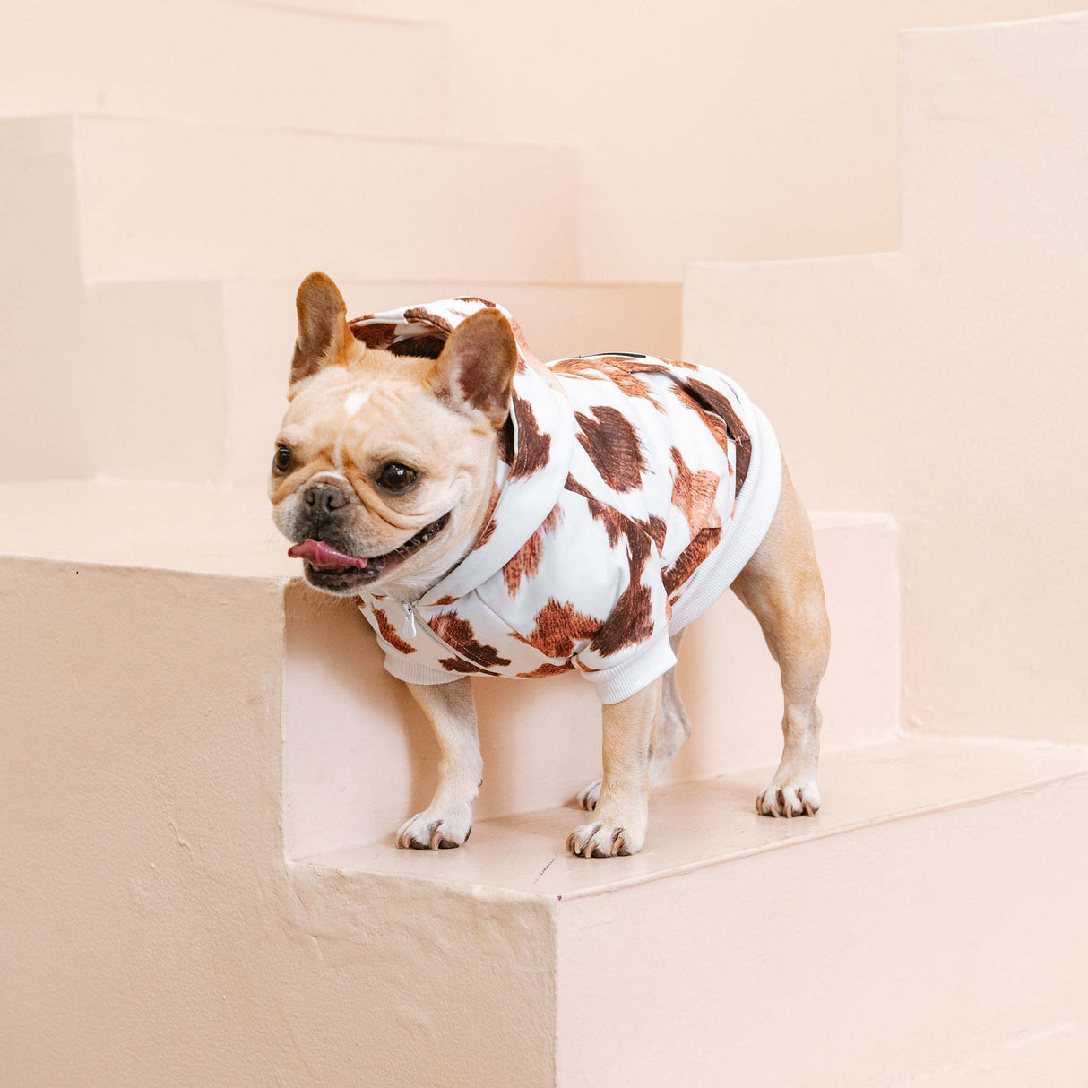 Frenchie Dog Hoodie - Moo from Frenchie Bulldog