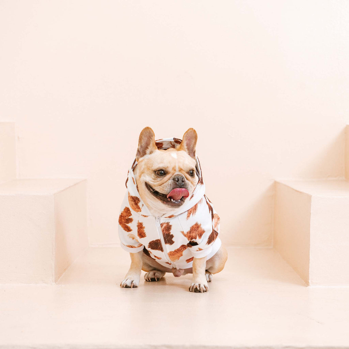 Frenchie Dog Hoodie - Moo from Frenchie Bulldog