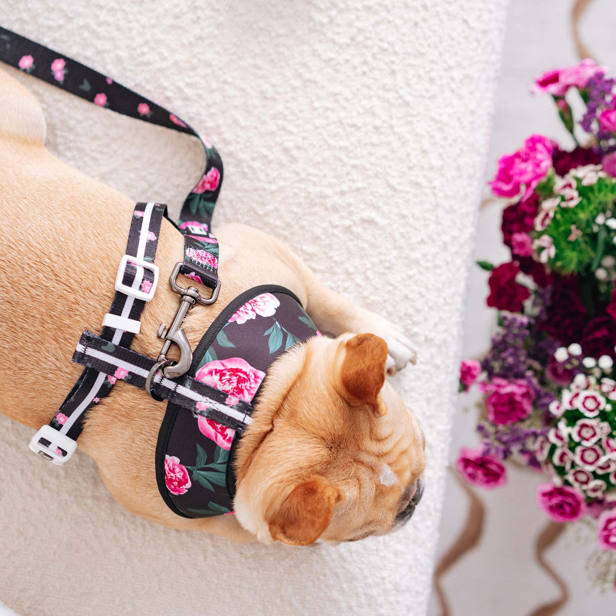 Frenchie Comfort Leash - Moody Floral from Frenchie Bulldog
