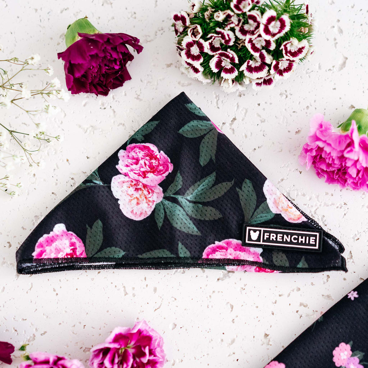 Frenchie Cooling Bandana - Moody Floral from Frenchie Bulldog