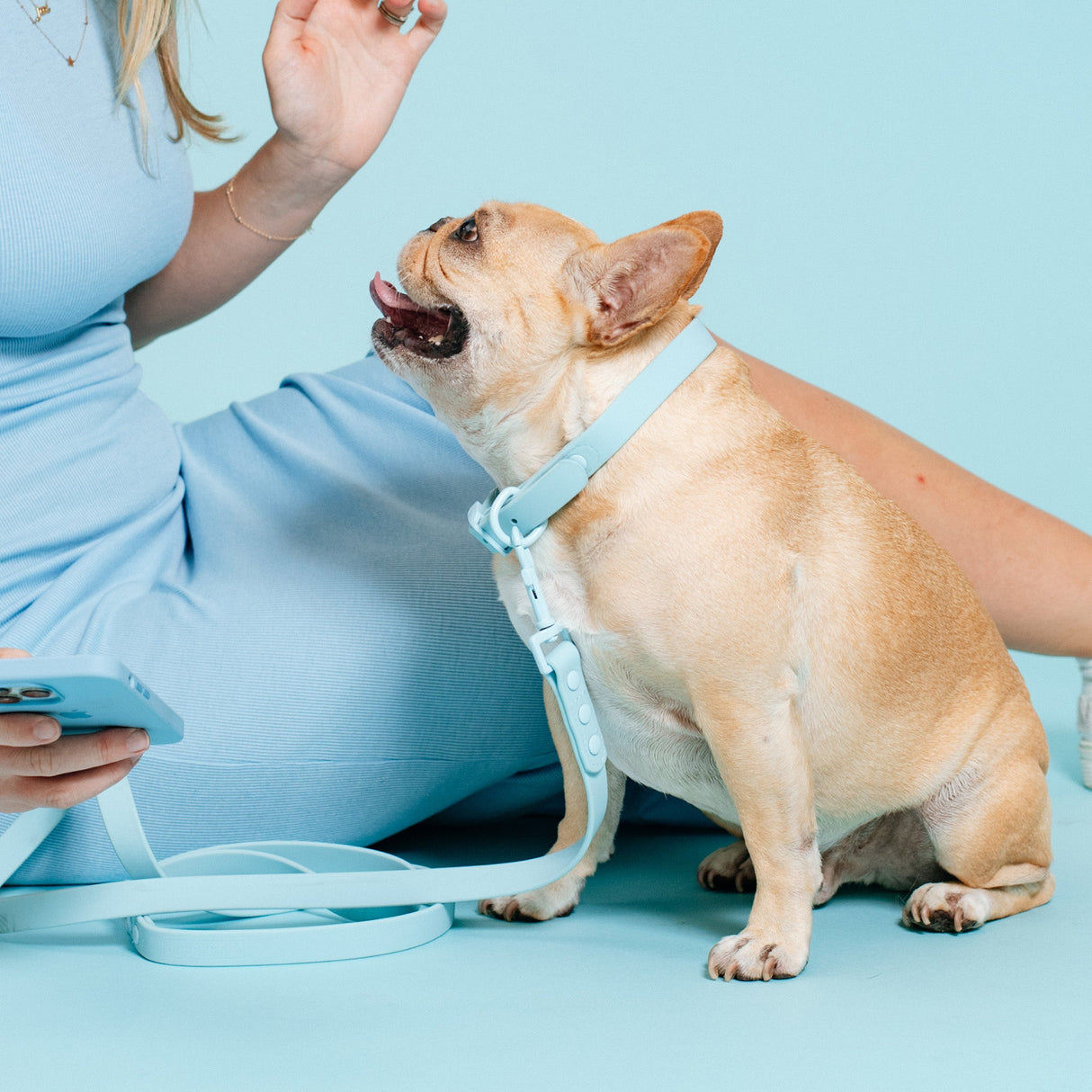 Frenchie Waterproof Collar - Ocean Blue from Frenchie Bulldog