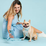 Frenchie Waterproof Collar - Ocean Blue from Frenchie Bulldog