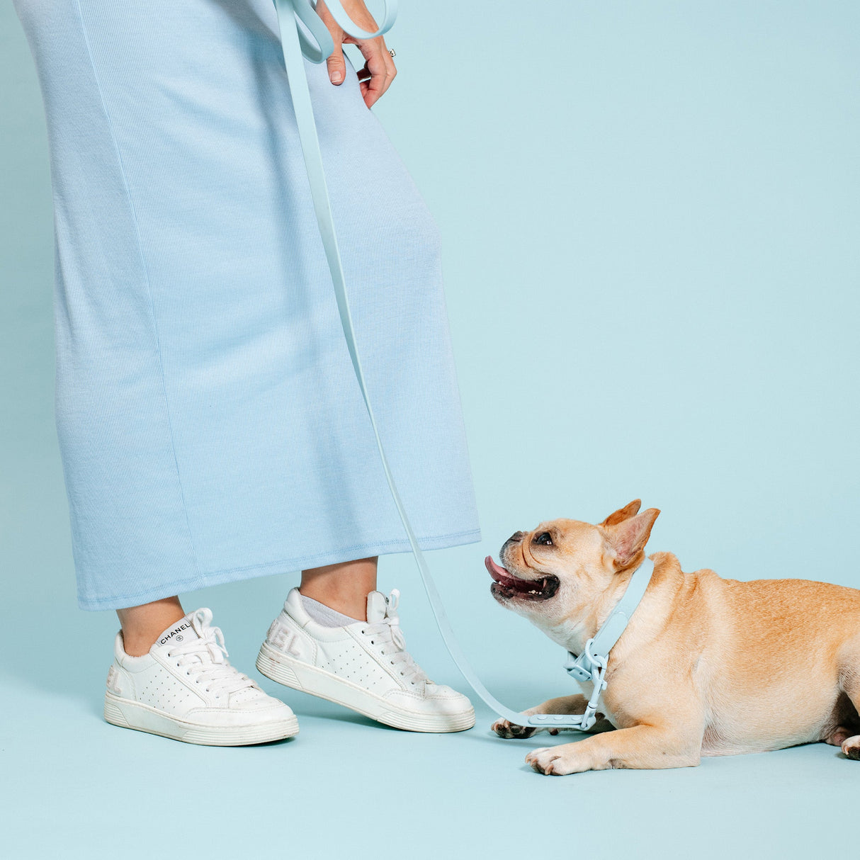 Frenchie Waterproof Collar - Ocean Blue from Frenchie Bulldog