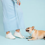Frenchie Waterproof Collar - Ocean Blue from Frenchie Bulldog