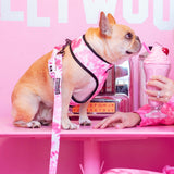 Frenchie Comfort Leash - Pink Tie Dye from Frenchie Bulldog