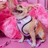 Frenchie Duo Reversible Harness - Pink Tie Dye from Frenchie Bulldog