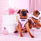 Frenchie Duo Reversible Harness - Pink Tie Dye from Frenchie Bulldog
