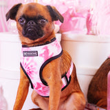 Frenchie Duo Reversible Harness - Pink Tie Dye from Frenchie Bulldog