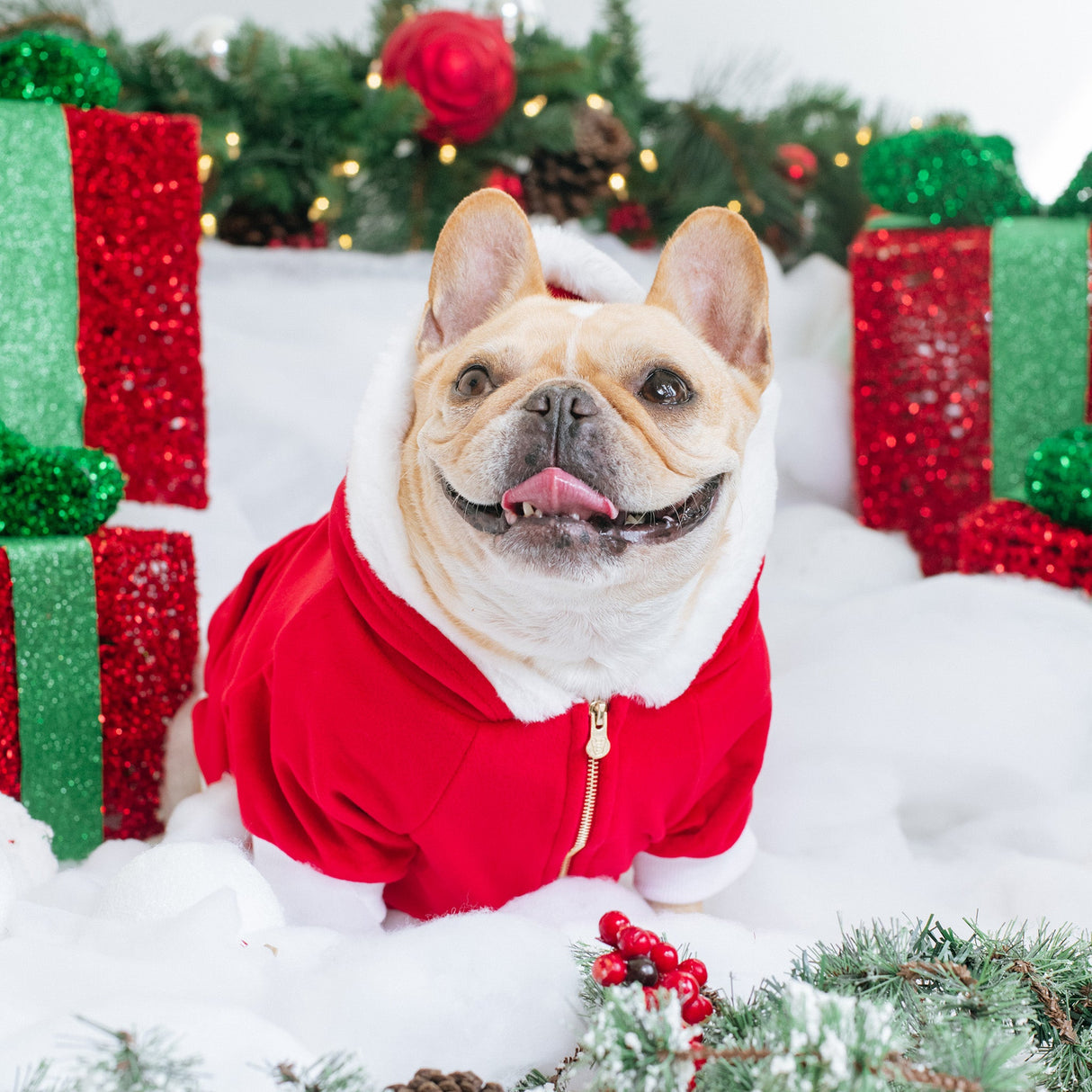 Frenchie Dog Hoodie - Red Santa from Frenchie Bulldog