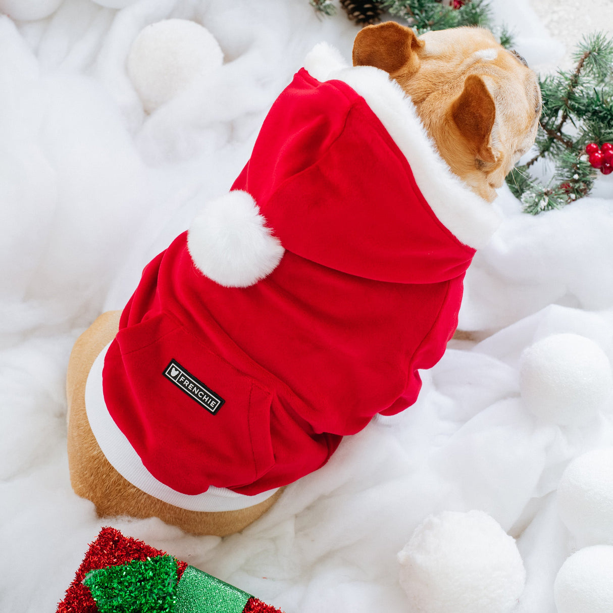 Frenchie Dog Hoodie - Red Santa from Frenchie Bulldog