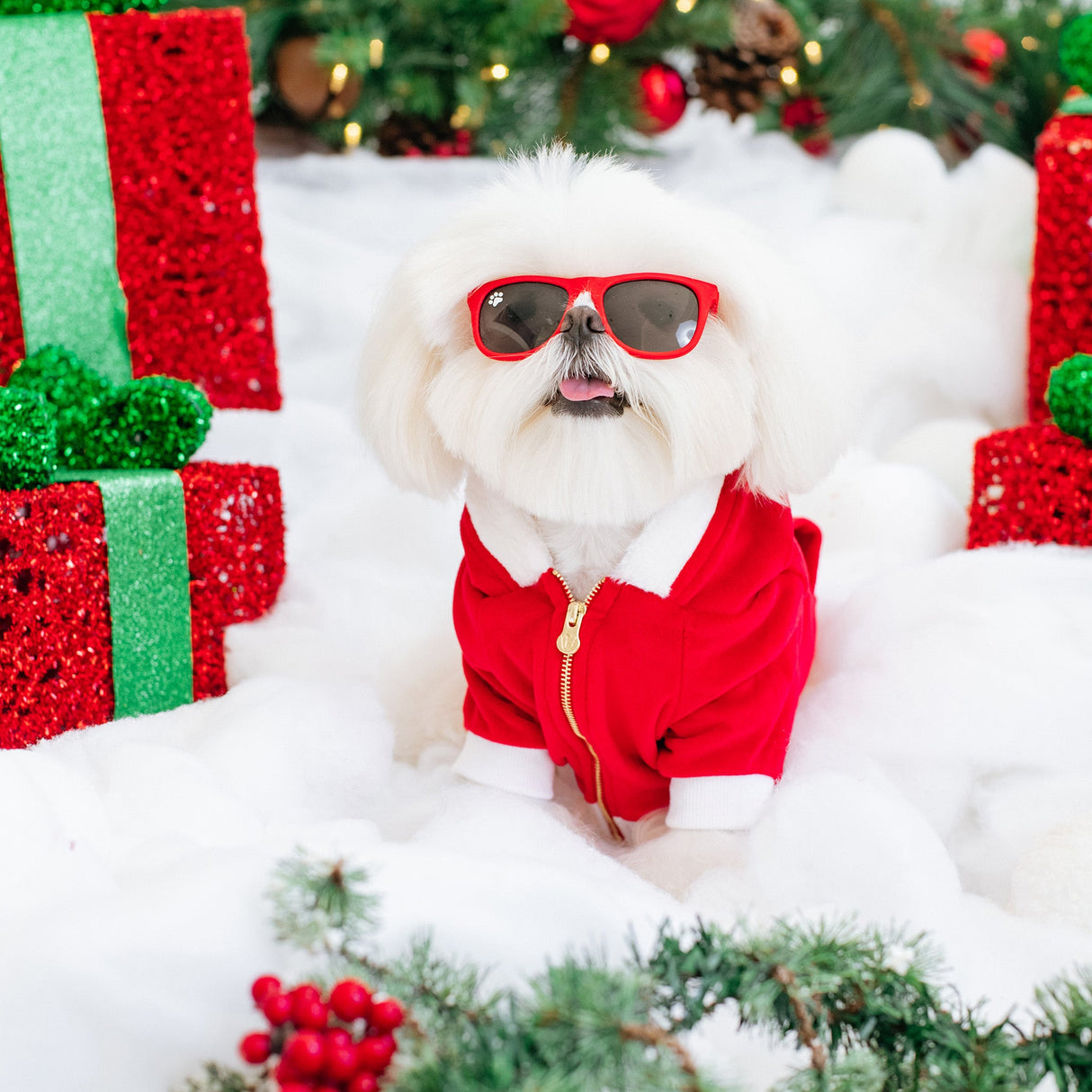 Frenchie Dog Hoodie - Red Santa from Frenchie Bulldog