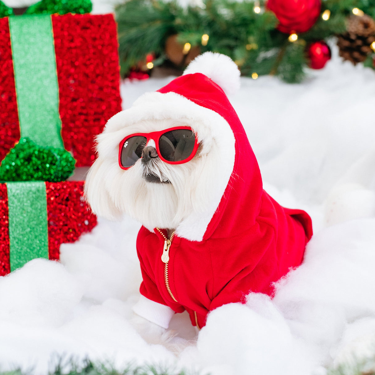Frenchie Dog Hoodie - Red Santa from Frenchie Bulldog