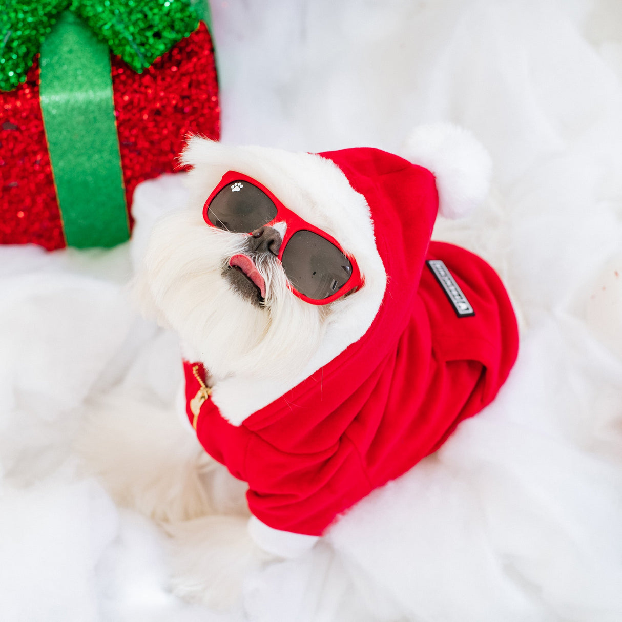 Frenchie Dog Hoodie - Red Santa from Frenchie Bulldog