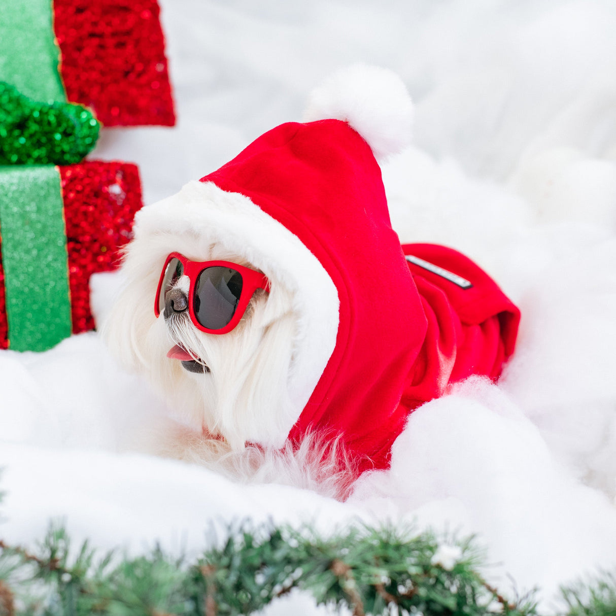 Frenchie Dog Hoodie - Red Santa from Frenchie Bulldog