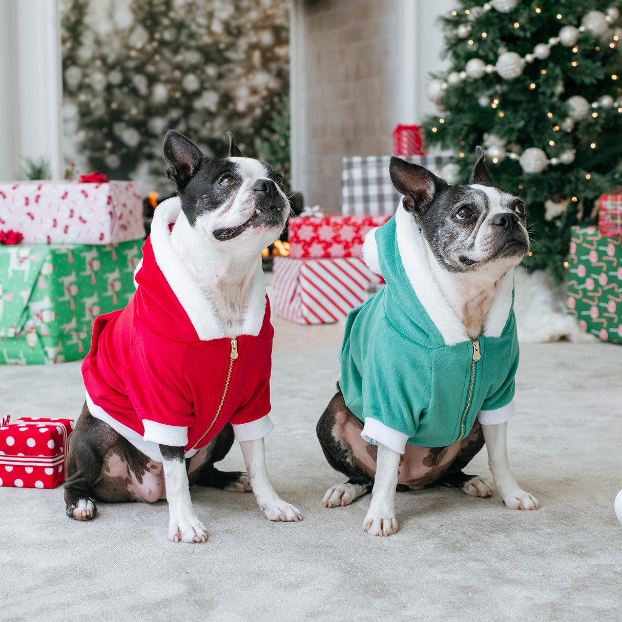 Frenchie Dog Hoodie - Red Santa from Frenchie Bulldog