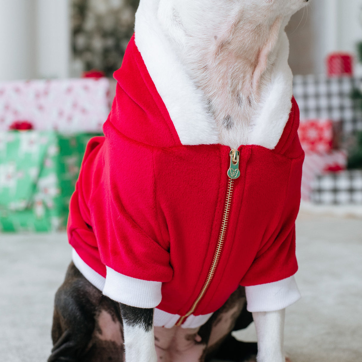 Frenchie Dog Hoodie - Red Santa from Frenchie Bulldog