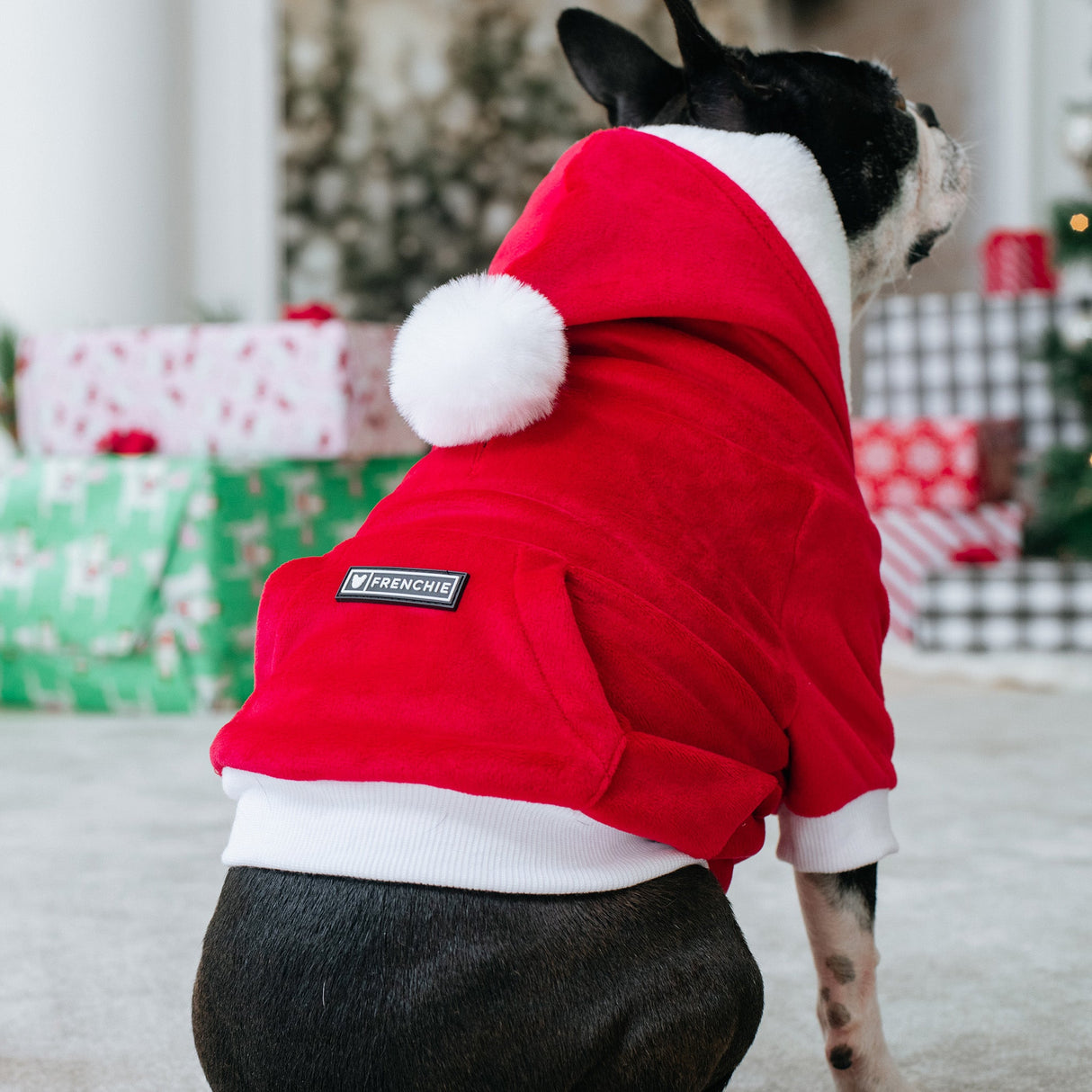 Frenchie Dog Hoodie - Red Santa from Frenchie Bulldog