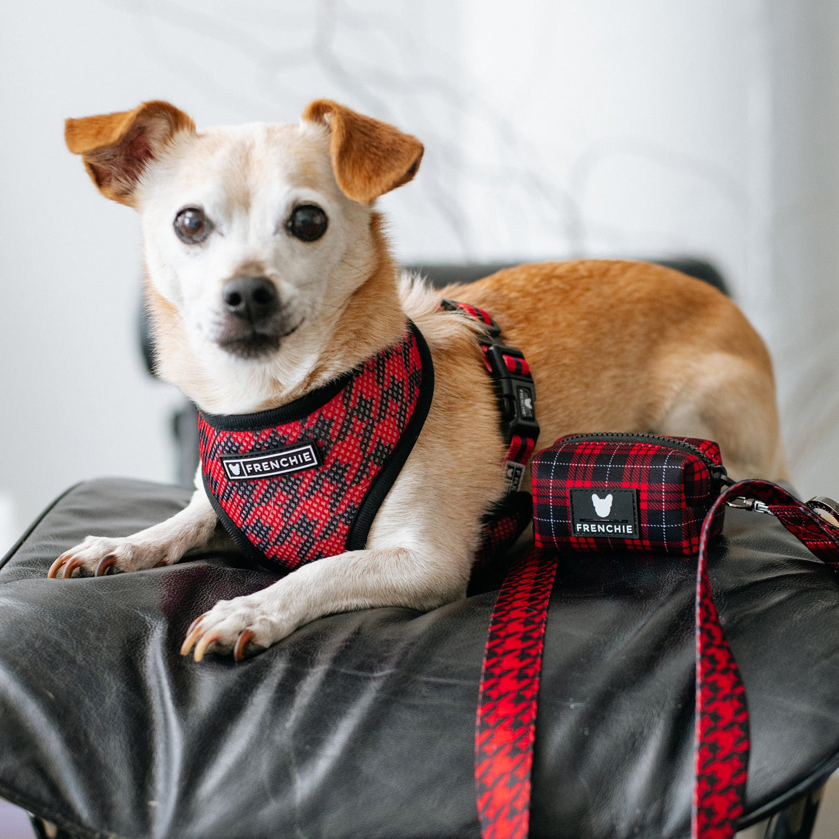 Frenchie Poo Bag Holder - Red Tartan from Frenchie Bulldog