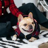 Frenchie Dog Hoodie - Red Tartan from Frenchie Bulldog