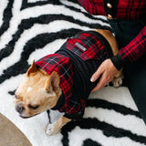 Frenchie Dog Hoodie - Red Tartan from Frenchie Bulldog