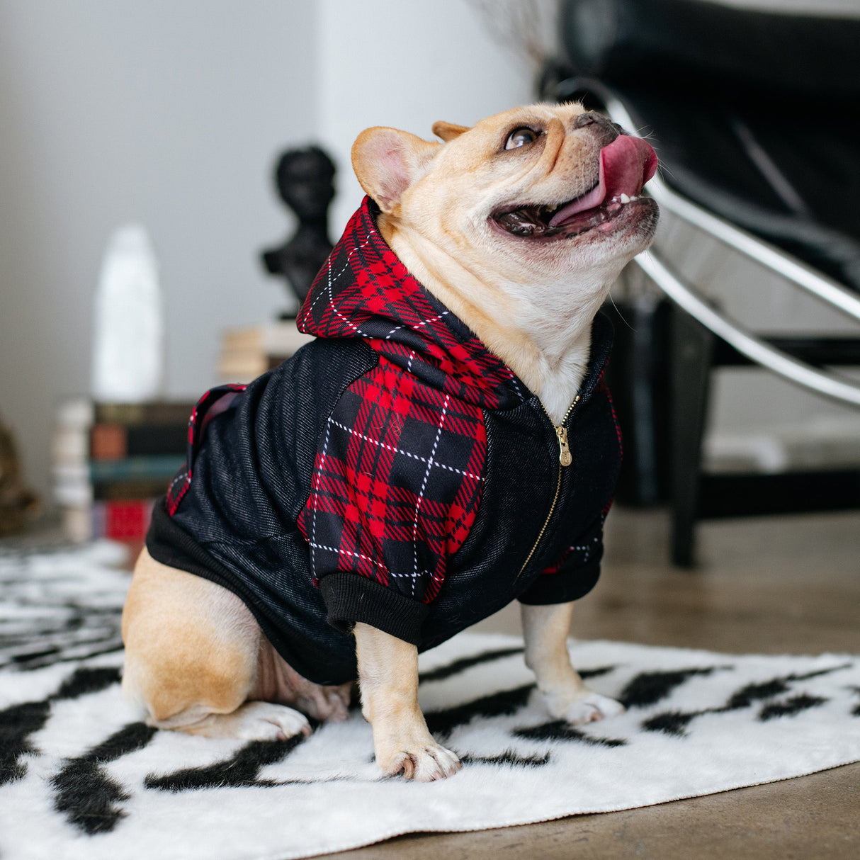 Frenchie Dog Hoodie - Red Tartan from Frenchie Bulldog