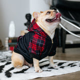 Frenchie Dog Hoodie - Red Tartan from Frenchie Bulldog