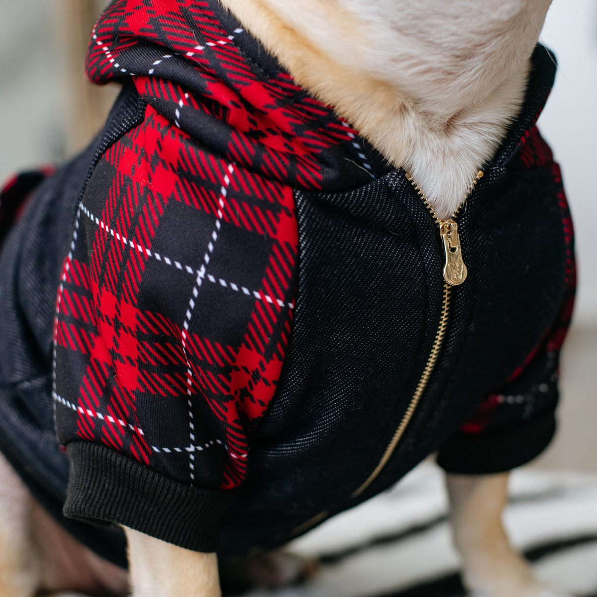 Frenchie Dog Hoodie - Red Tartan from Frenchie Bulldog